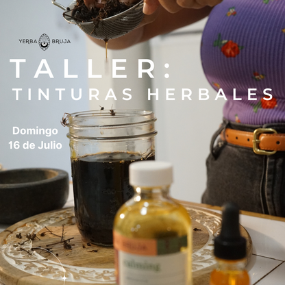 Taller: Tinturas Herbales 2.0