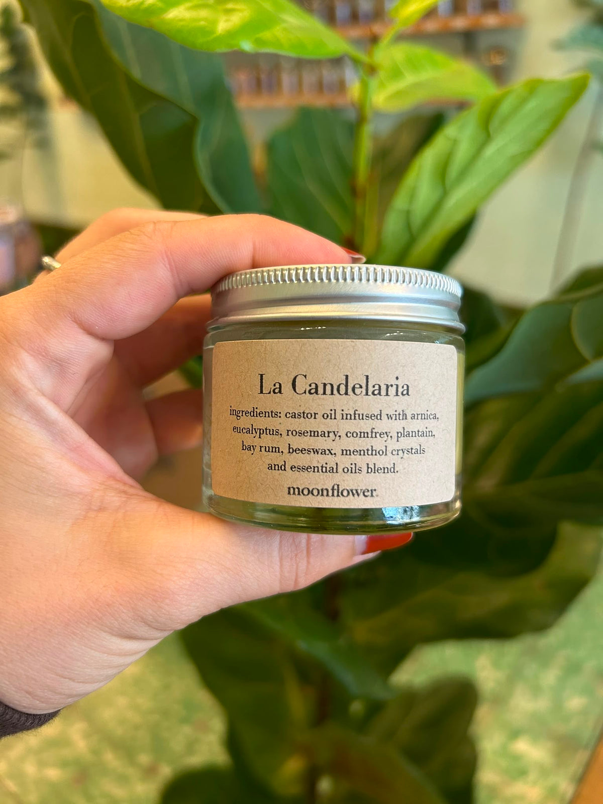 Moon Flower La Candelaria