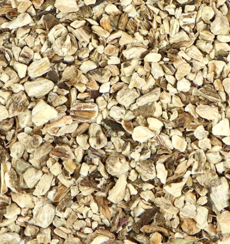 Burdock (Atrium lappa) – menjunjespr