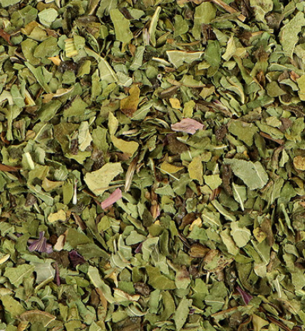 Echinacea herb (Echinacea purpurea)